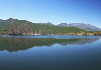 201011050956-DSC04453.jpg