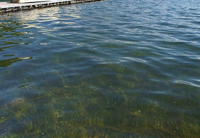 201011051122-DSC04626.jpg