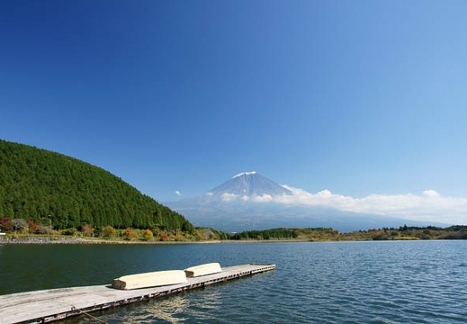 201011051123-DSC04627.jpg