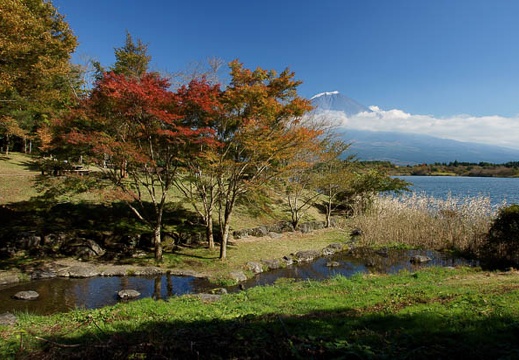 201011051145-DSC04662.jpg