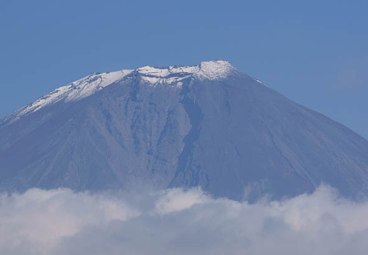 201011051303-DSC04814.jpg