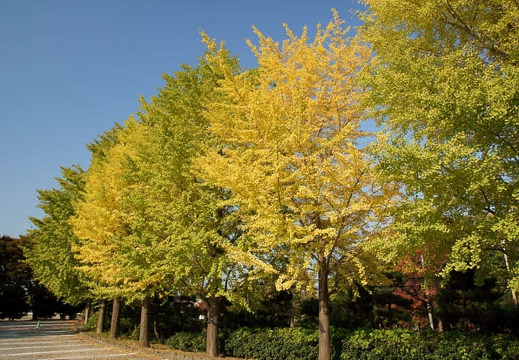 201011081331-DSC05659.jpg