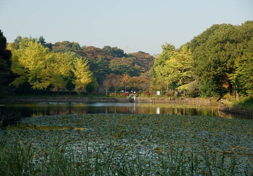 201011081447-DSC05748.jpg
