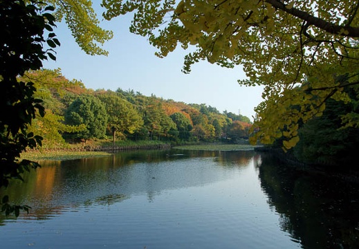 201011081453-DSC05759.jpg