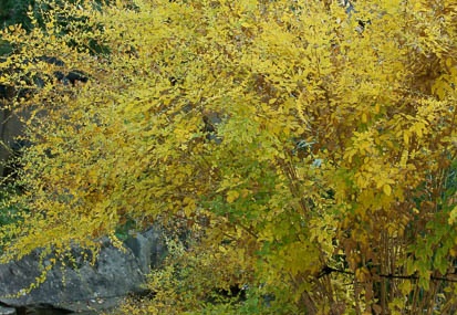 201011081551-DSC05862.jpg