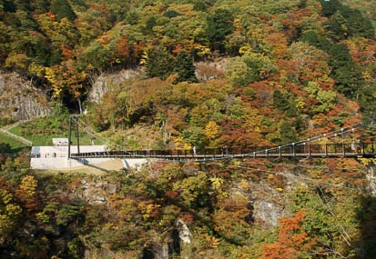 201011090921-DSC05990.jpg