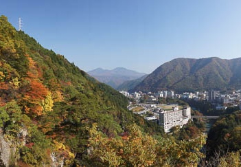 201011090944-DSC06026.jpg