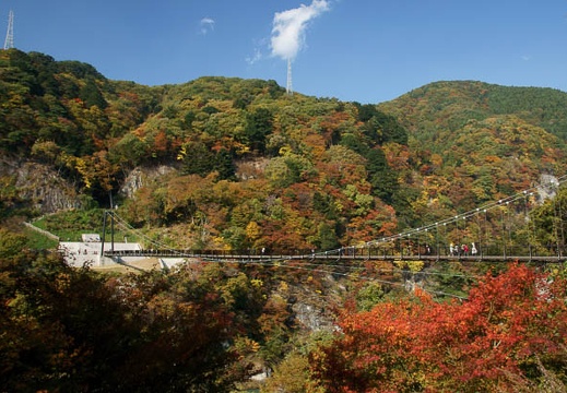201011091016-DSC06071.jpg