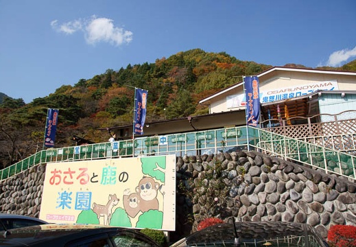 201011091032-DSC06076.jpg