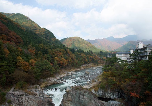 201011091212-DSC06139.jpg