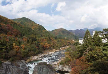 201011091215-DSC06148.jpg