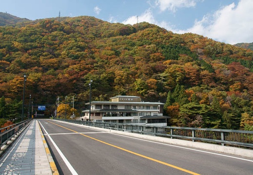 201011091219-DSC06158.jpg