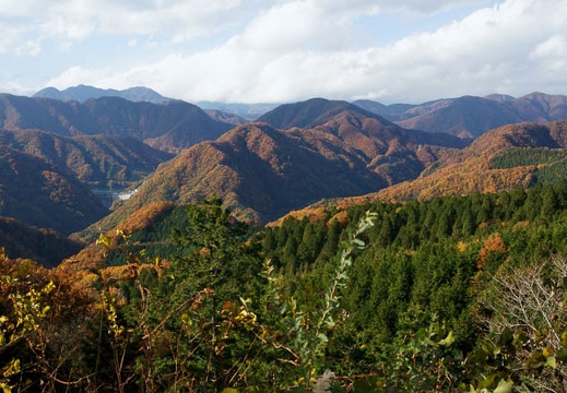 201011091327-DSC06250.jpg
