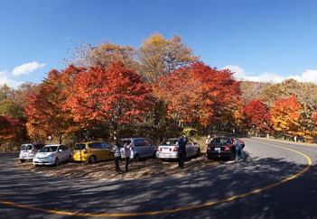 201011091347-DSC06283.jpg