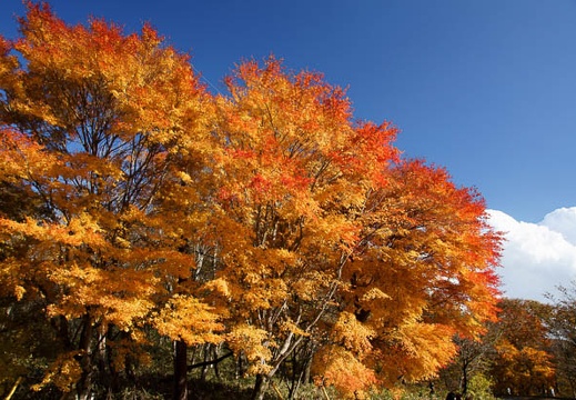 201011091357-DSC06292.jpg