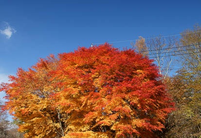 11.09 鬼怒川