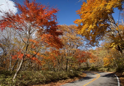 201011091406-DSC06311.jpg