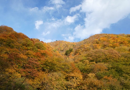 201011091450-DSC06343.jpg