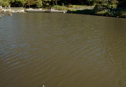 201011101240-DSC06741.jpg