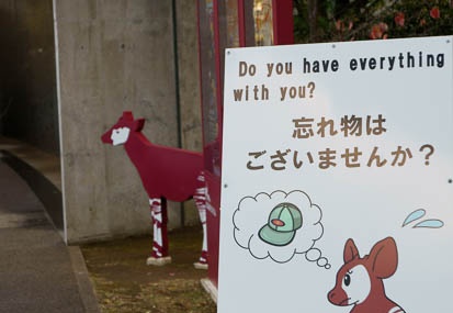 201011101539-DSC07120.jpg