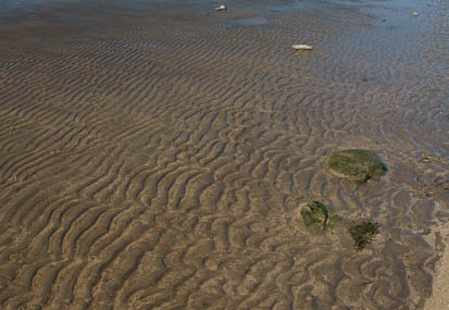 201011111110-DSC07276.jpg