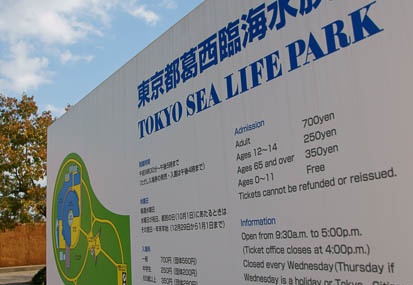 201011111420-DSC07691.jpg