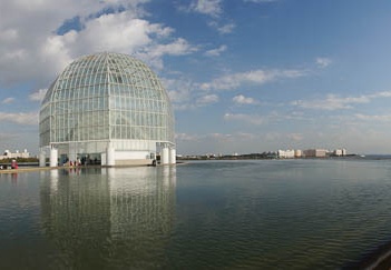 201011111436-DSC07714.jpg