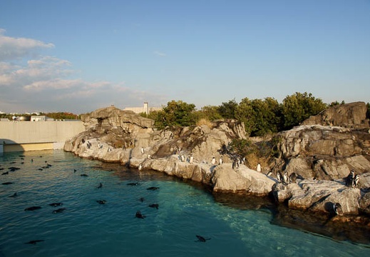 201011111527-DSC07934.jpg