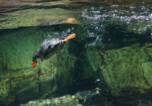 201011111556-DSC08073.jpg