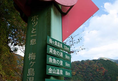 201011160756-DSC08695.jpg