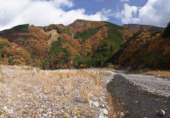 201011161043-DSC08878.jpg