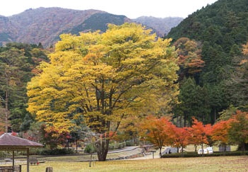 201011161130-DSC08944.jpg