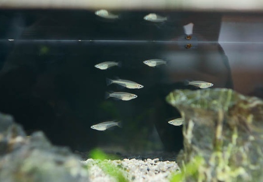 201011171152-DSC09353.jpg