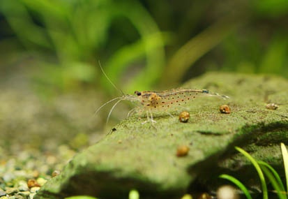 201011171206-DSC09406.jpg