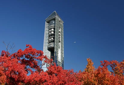 201011171344-DSC09601.jpg