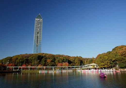 201011171447-DSC09711.jpg