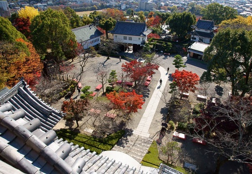 201011191036-DSC00559.jpg
