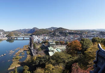 201011191043-DSC00577.jpg
