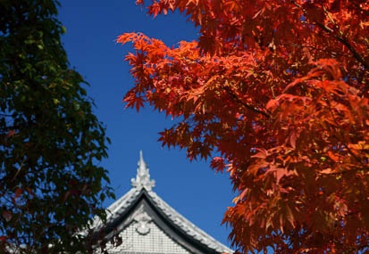 11.19 犬山城