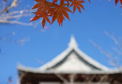201011191053-DSC00589.jpg