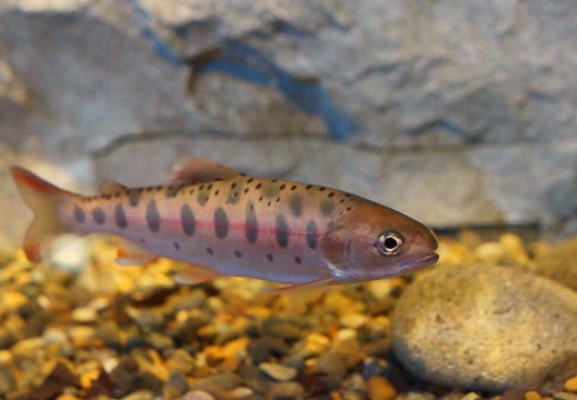201011221213-DSC02607.jpg