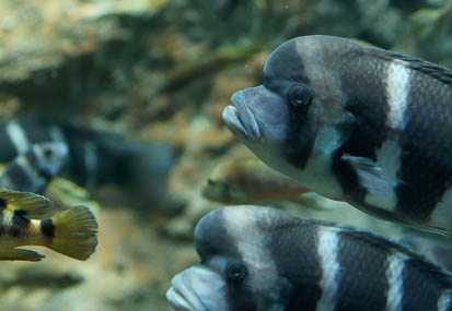 201011221340-DSC02982.jpg