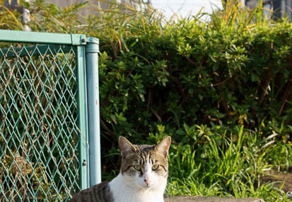 201011281419-DSC03447.jpg