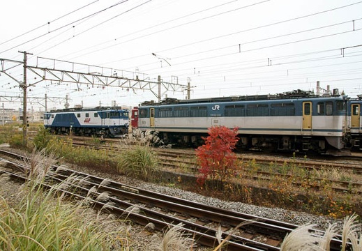 201011281603-DSC03599.jpg