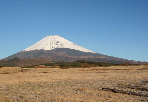 201011290712-DSC03621.jpg