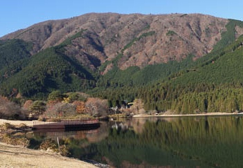 201011290856-DSC03746.jpg