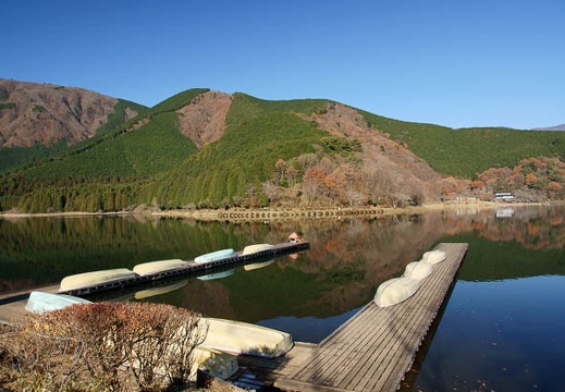 201011290917-DSC03891.jpg