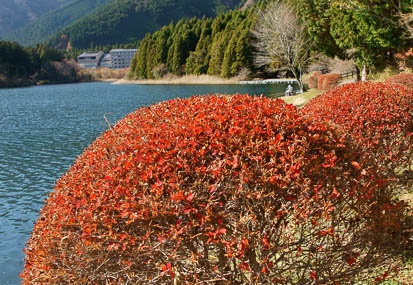 201011291113-DSC04079.jpg