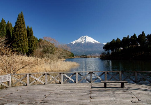 201011291137-DSC04124.jpg