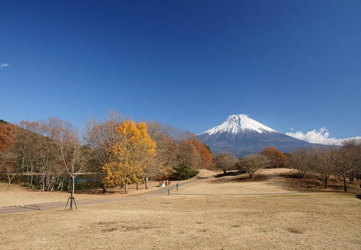 201011291155-DSC04156.jpg